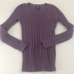 V neck sweater purple American Eagle